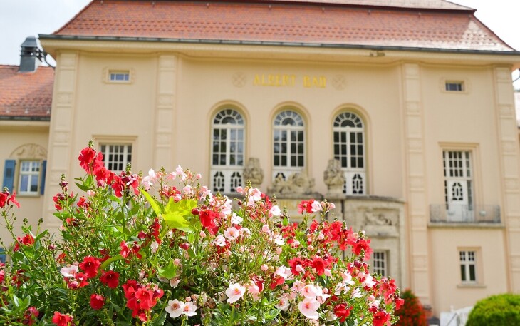 Bild 9